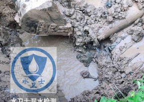 浦东新区水管漏水检测公司5